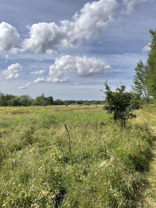 Działka rolna 2,89ha nad rz.Parsentą, 30km do morza sprzedaż ofertowa