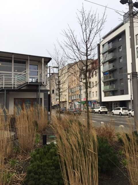 Kwatery/Pokoje/Noclegi dla Pracowników Gdynia Centrum tel. 509819355