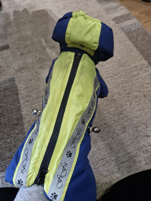 Одяг для собак маленьких
