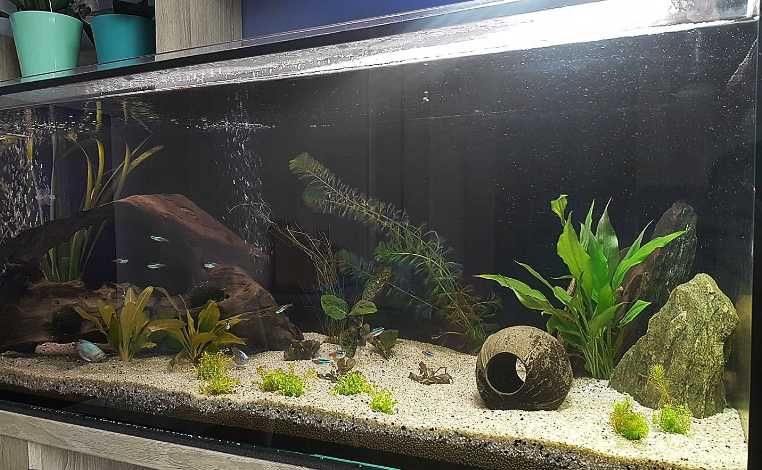 Кварцовий  обкатаний пісок для акваріума. фракція 0,5-2мм 5 кг