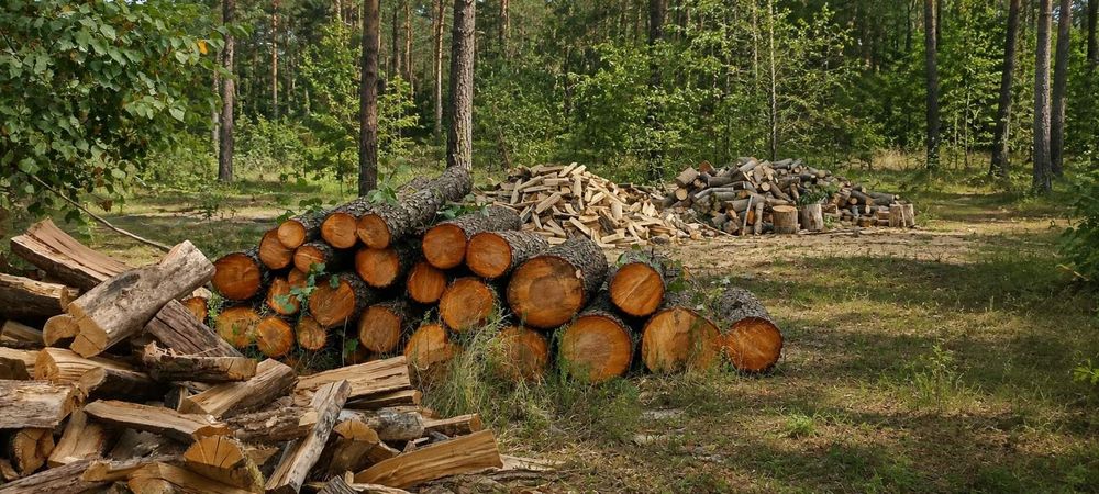Дрова. Сосна , береза . ...