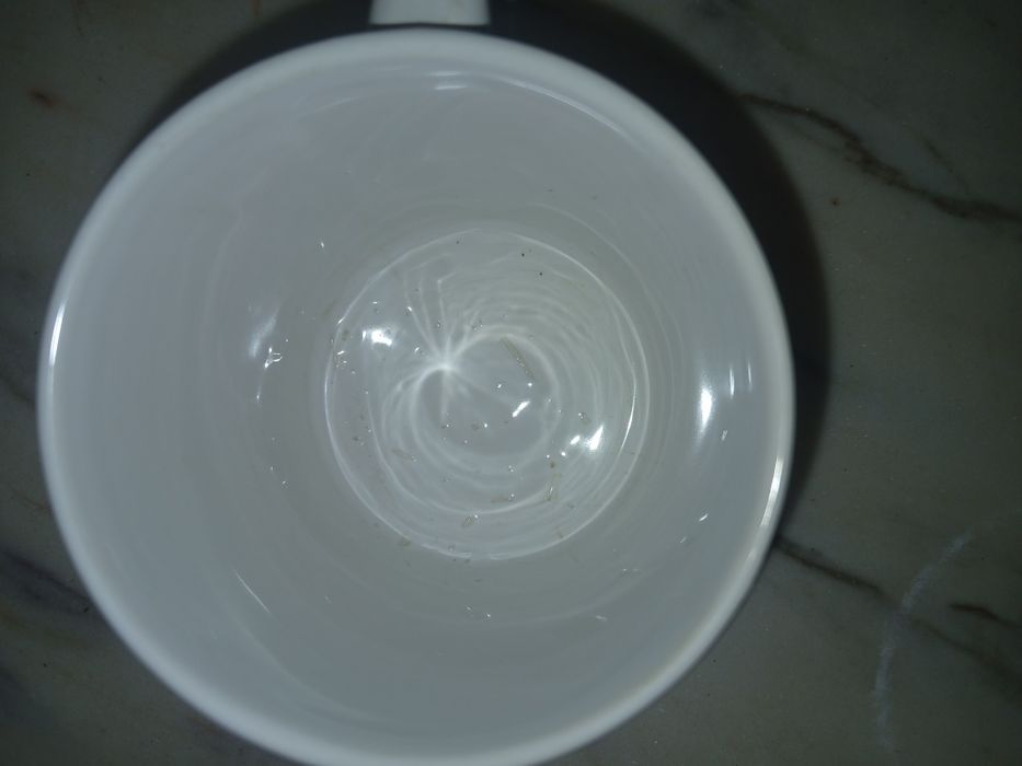 Caneca do Sporting campeão de 1970