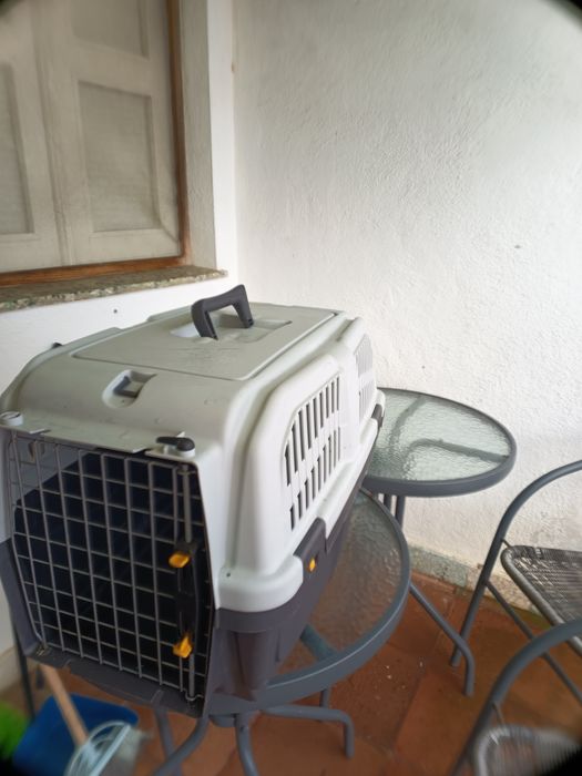 Transportadora de Animais
