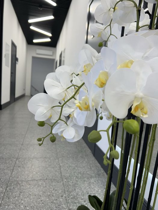 Оренда Офісу в БЦ D-LUX DOWNTOWN вул.Героїв Небесної сотні 24