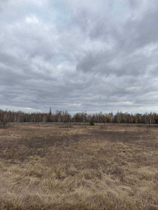 Земельна ділянка в с. Количівка