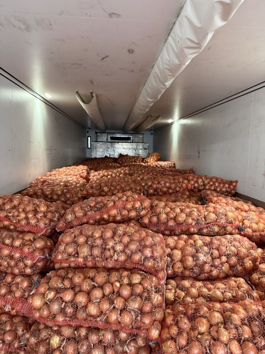 Продам Лук (цибуля)