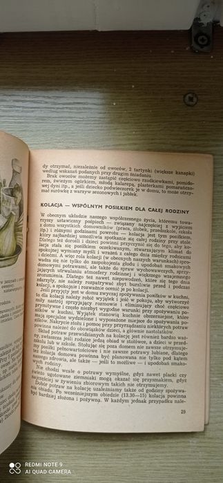 Jak zdrowo żywić rodzinę książka