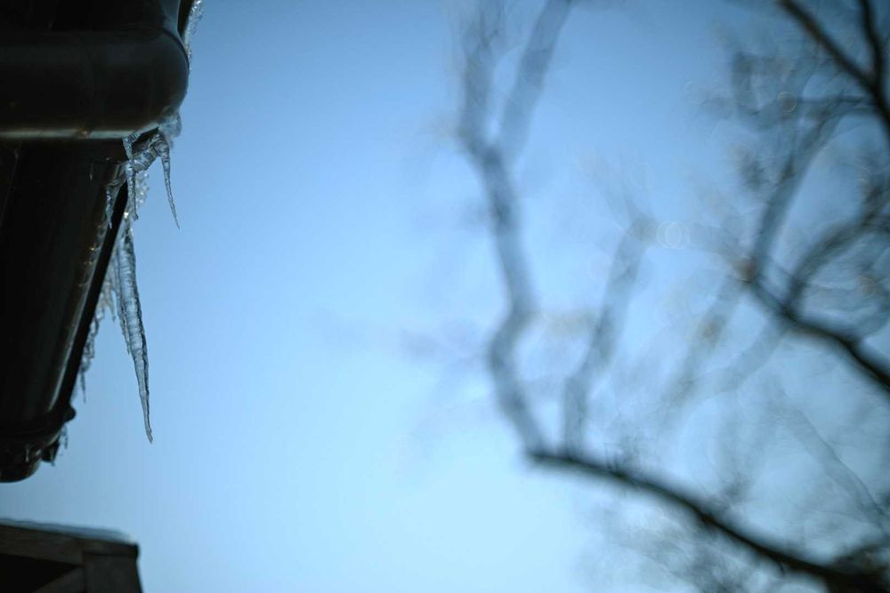 NikkorS 55/1,2 Ai надсвітлосильний вінтаж об’єктив з красивим малюнком