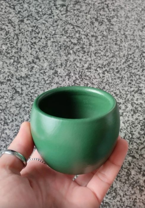 Plantas e vasos vários