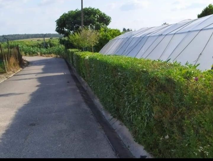 Limpeza de terrenos - Jardinagem