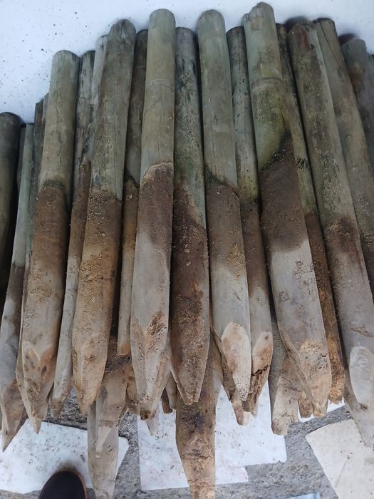 (Promocao )Estacas de Paus tratados tenho cerca de 190 unidades