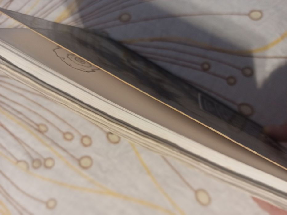 Franky Furbo William Wharton książka papierowa