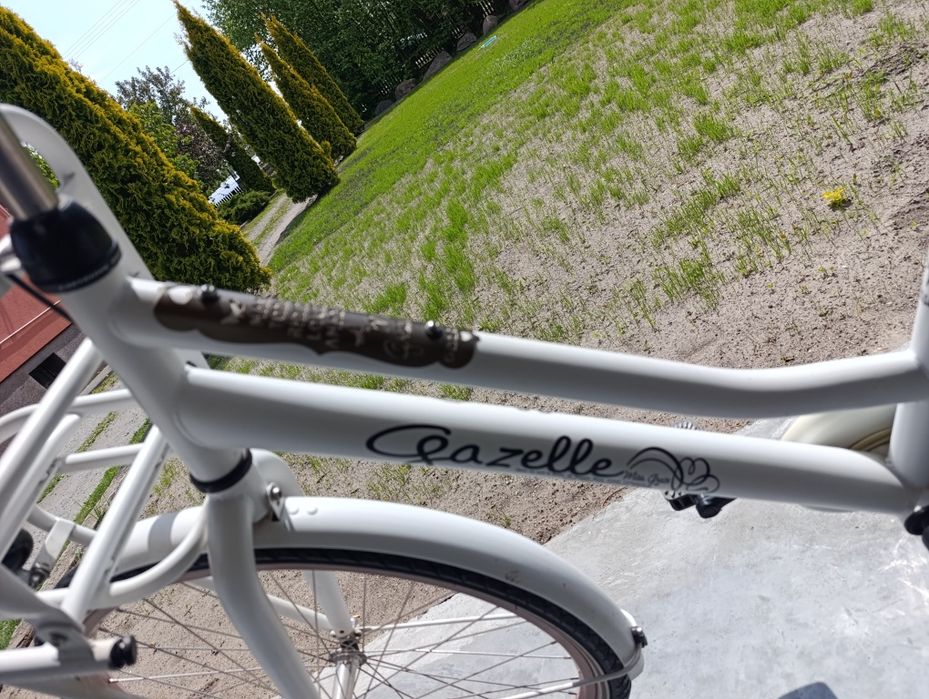 Rower Gazelle Miss Grace 26''