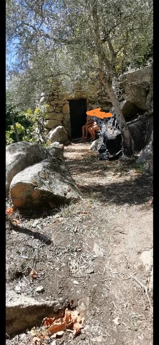 Pequena quinta 15000m2 tabuaço