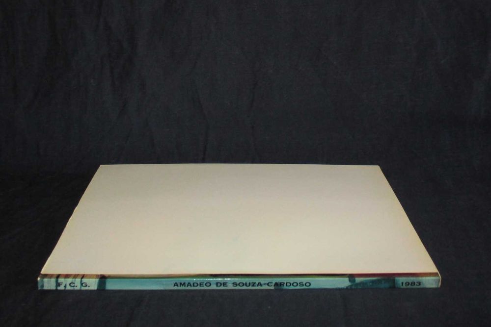 Livro Amadeo de Souza-Cardoso A Primeira Descoberta de Portugal