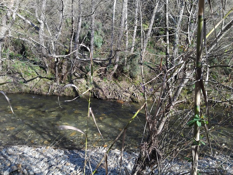 Terreno a beira da ribeira!