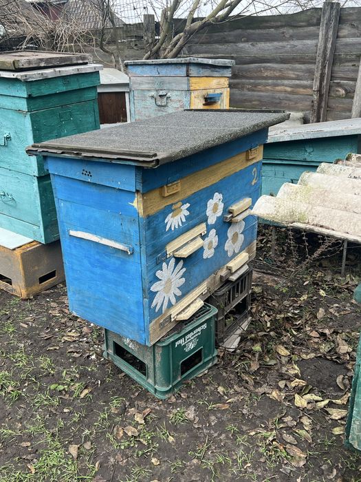 вулики без бджіл