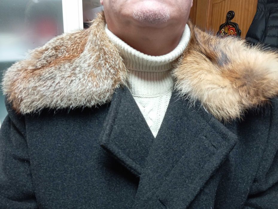 Samarra Alentejana com pêlo raposa