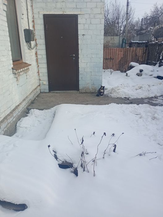 Сдам место во дворе для машины ,есть времянка для мотоцикла,велосипеда