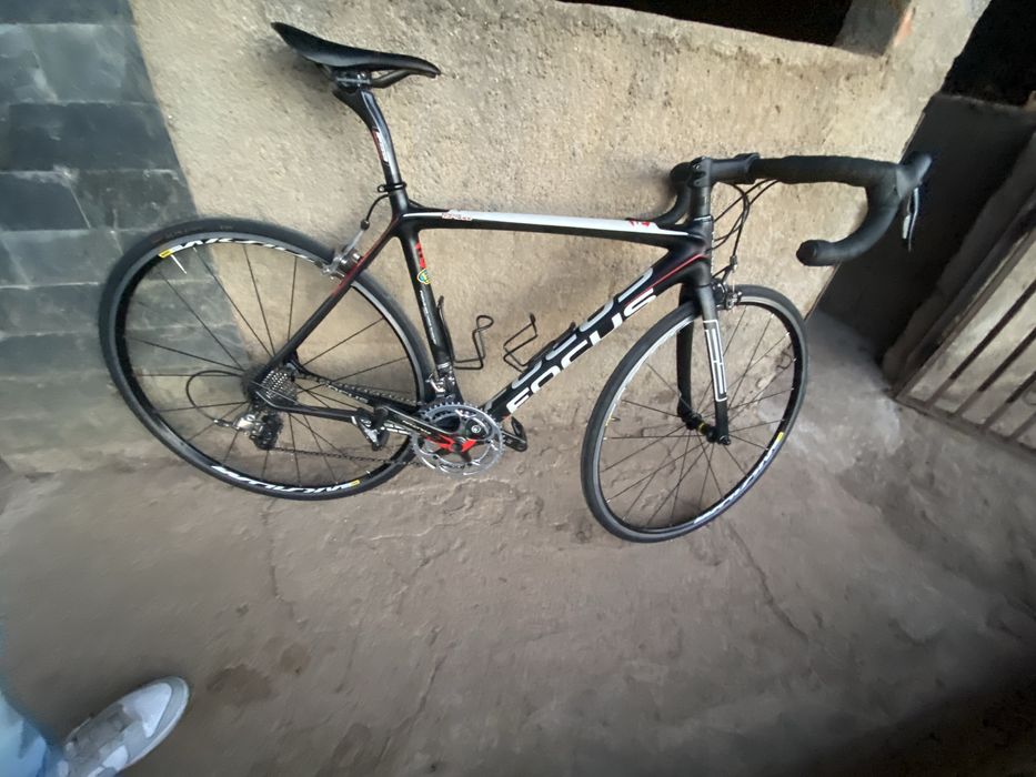 Focus Izalco Carbono