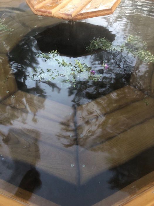 Чан та лазня на дровах, відпочинок у затишній садибі