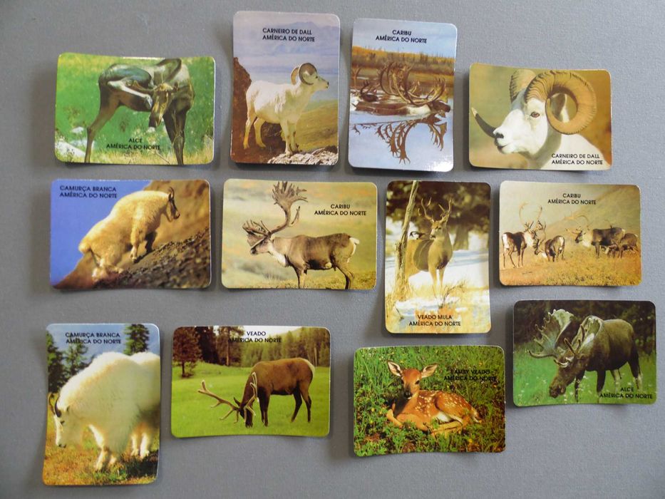 Calendários Animais Diversos
