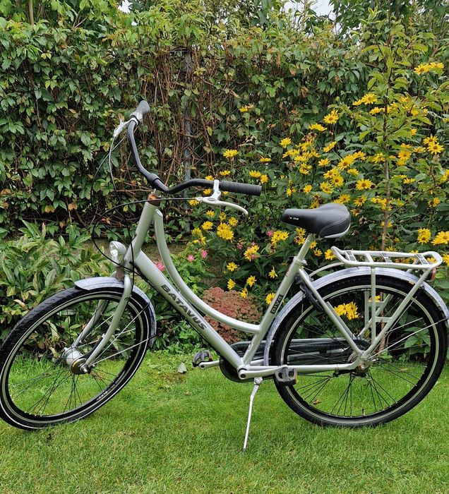 Batavus Diva D50 nexus 3