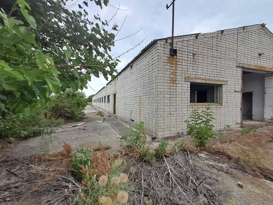 Комплекс птицефабрики/Солнечные батареи/Зернохранилище