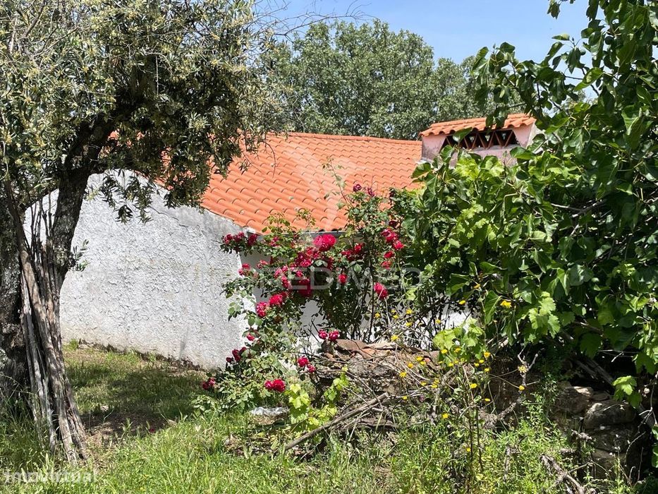 Quinta T4 no coração da Serra de S. Mamede, Portalegre