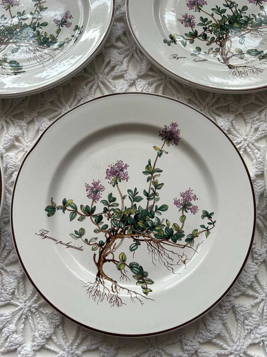 Villeroy & Boch "Botanica" – Zestaw 6 talerzy – Stan IDEALNY