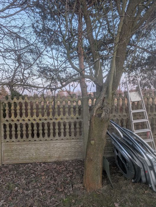 Drewno owocowe do wędzenia