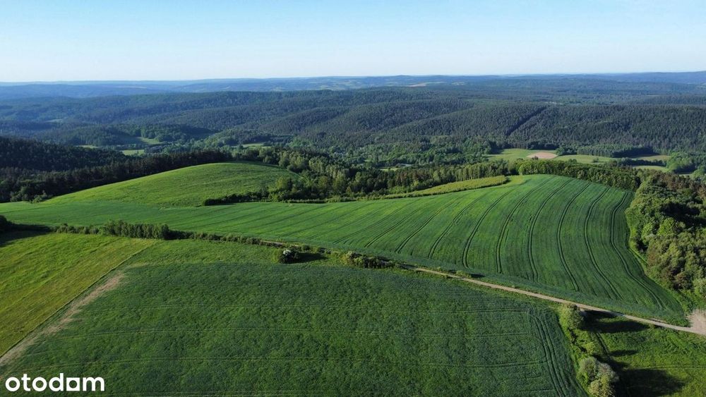 Działka rolna 29,90 ha z doskonałym dojazdem, prądem i widokiem!