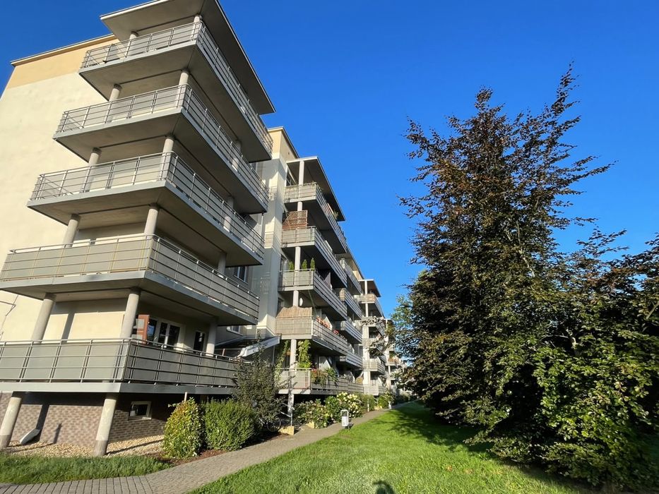 Kawalerka 34m2 w parku przy Castoramie