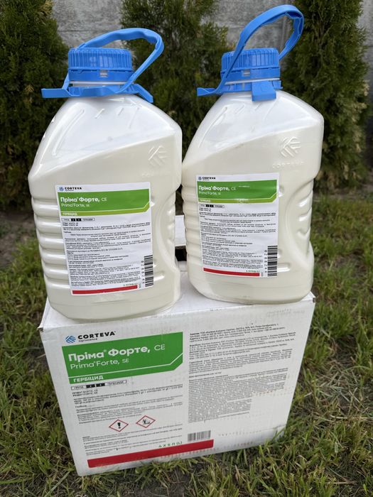 Пріма форте оригінал