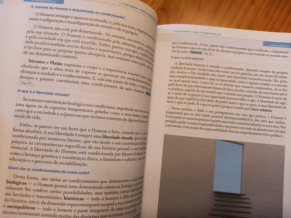 (COMO NOVO, PORTES GRÁTIS) Filosofia 10 Essencial: Livro do Professor