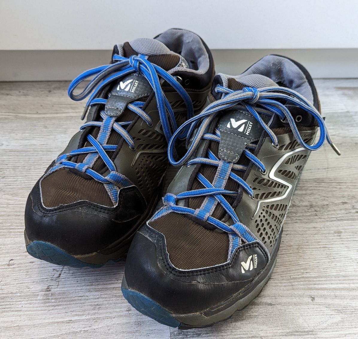 Millet fast alpine gtx sale