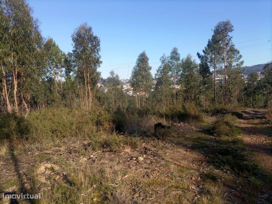 Terreno  para venda — Lordelo, Porto