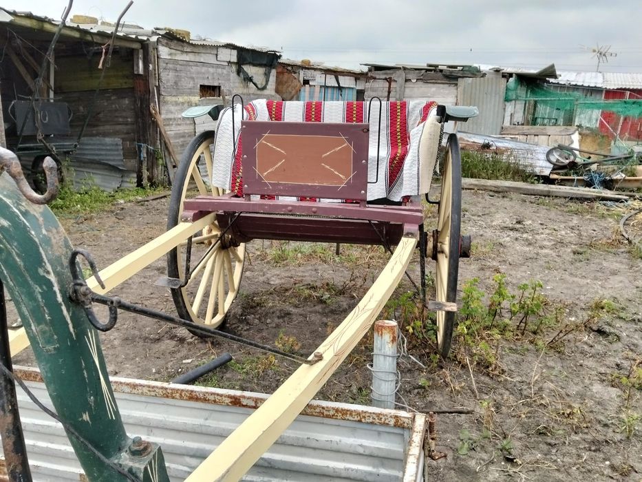Charrete de cavalo