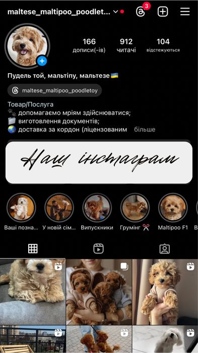 Хлопчик мальтіпу Ф1 з доставкою по Україні та за кордон