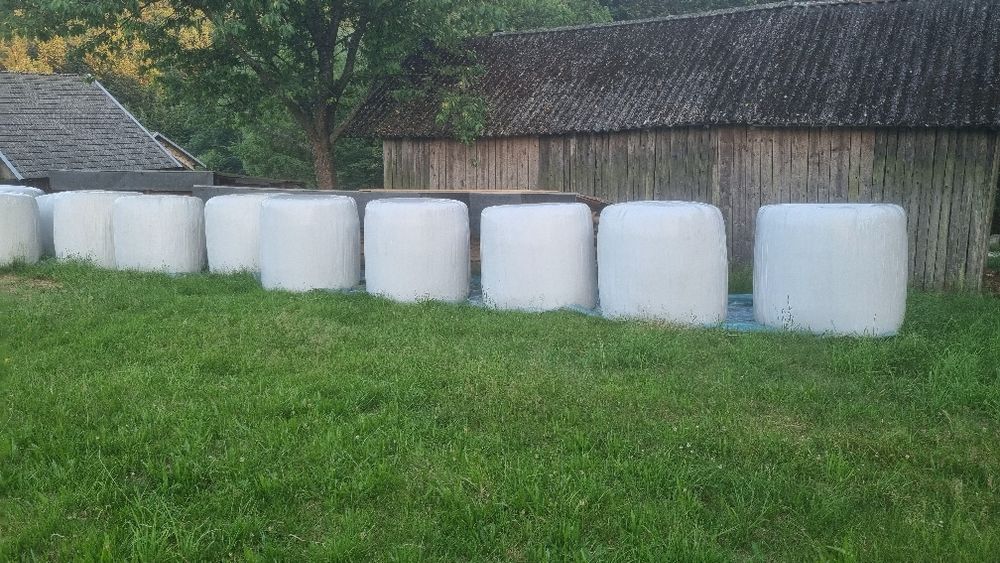 Sianokiszonka bele koniczyna