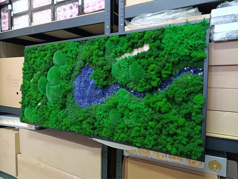 Картина с Мхом. Стабілізований Мох Картина