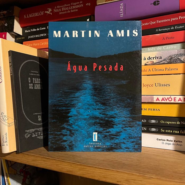 Martin Amis - Heavy Water (Free Shipping)