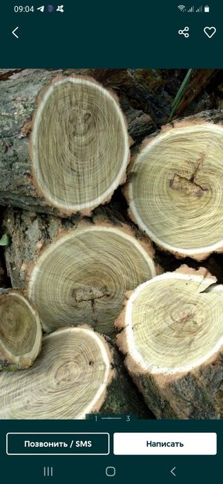 ДРОВА! Дуб Ясень Акация!