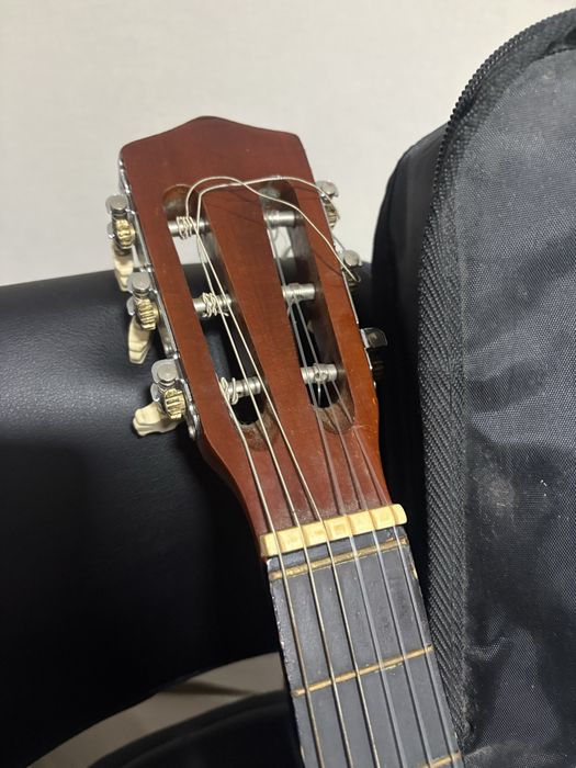 Guitarra Clássica de Estudo (Acompanha Capa Ritter e Palhetas)