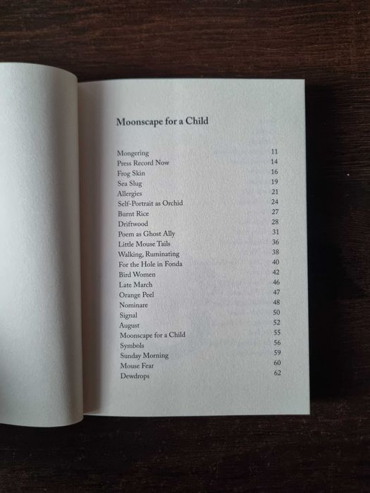 Moonscape for a child Rigby