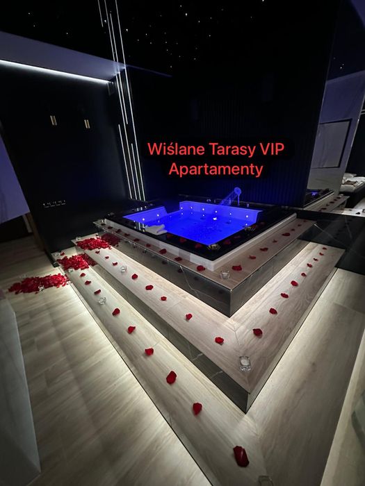 Kraków VIP Apartamenty z JACUZZI- Garaż- WIŚLANE TARASY 2.0