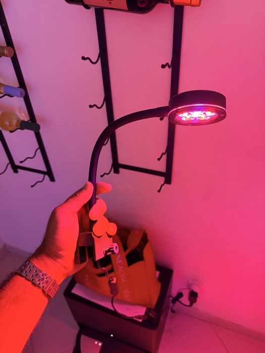 Luz de Refúgio para Macroalgas – Nova e Selada