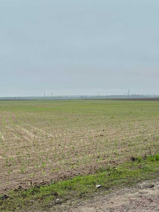 Фасадна ділянка на Житомирській трасі! Комерційне призначення по дуже вигідній ціні!