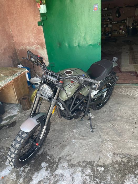 Geon scrambled 250