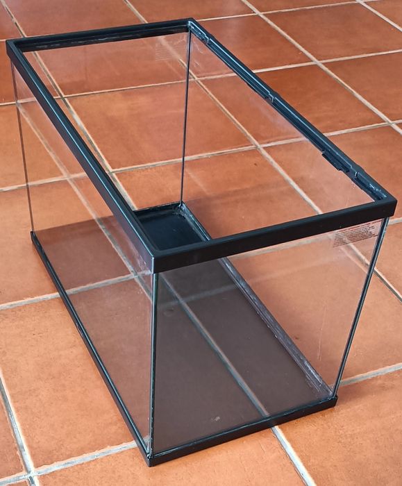 Aquário grande peixes